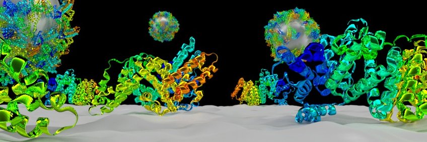 Interactions of nanocarriers with biological components: Engineering interfaces