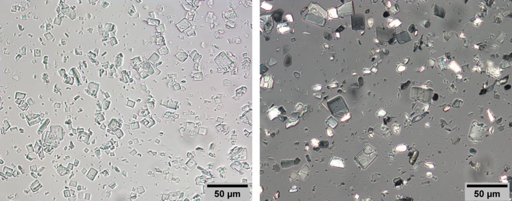 Physico-Chemical Properties of Sugar and Polyol Dispersions