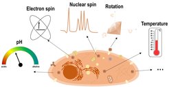 Nanodiamond quantum sensor