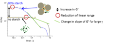 The addition of starch particles to a pure gluten network reduces its linear viscoelastic range and increases its elastic modulus.