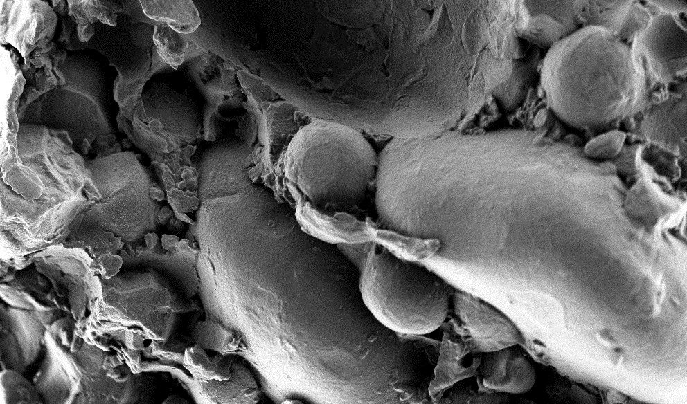 Starch/ protein systems