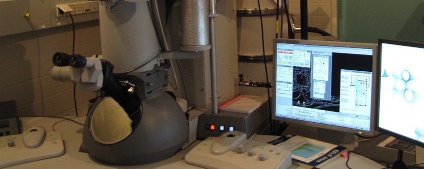 FEI Tecnai F20 Transmission Electron Microscope