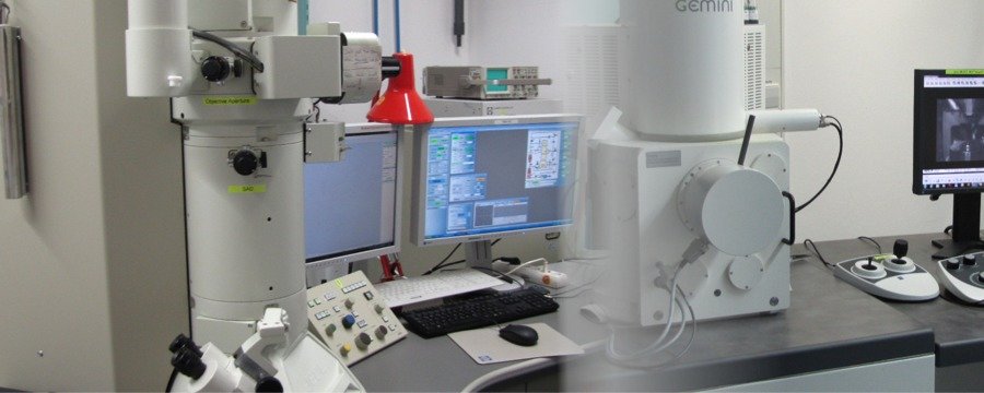 Scanning Electron Microscopy